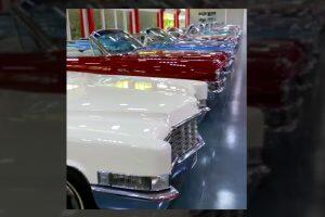 Coleção Cadillacs Conversíveis