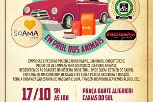 Encontro de Carros Antigos em prol dos animais