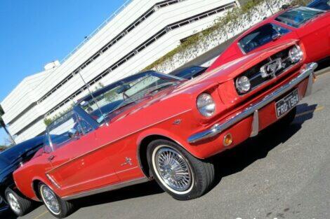 Encontro Anual de Mustangs