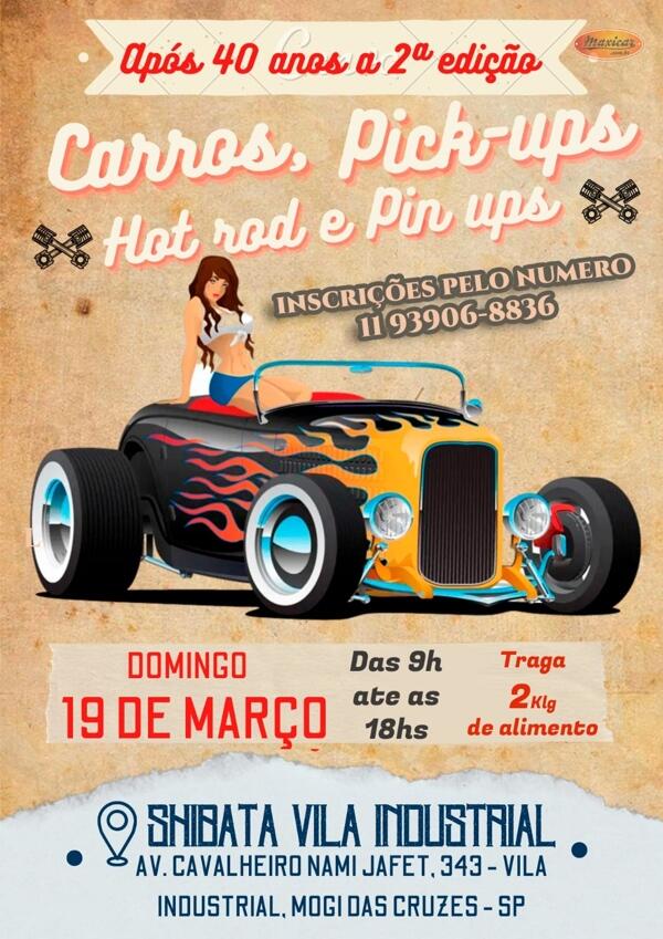 Pin em carro s