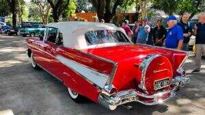 Chevrolets