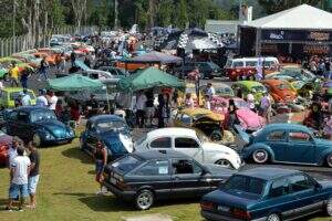 Festa Back to the Classics