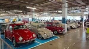 O Fusca e seus “convidados” no Encontro do VW Clube RJ
