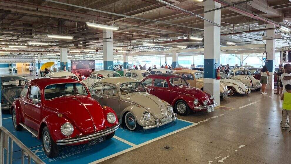 O Fusca e seus “convidados” no Encontro do VW Clube RJ